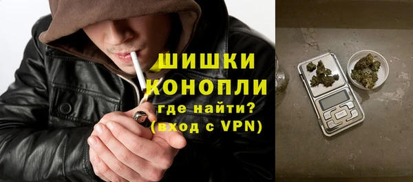 твердый Мегион