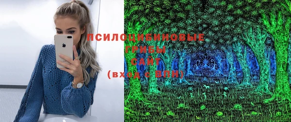 ПСИЛОЦИБИНОВЫЕ ГРИБЫ Медвежьегорск