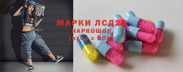 ПСИЛОЦИБИНОВЫЕ ГРИБЫ Медвежьегорск