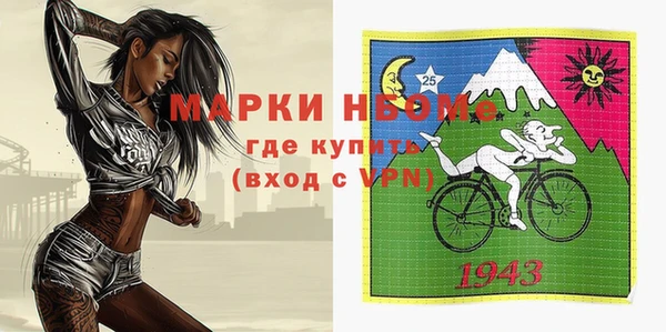 твердый Мегион