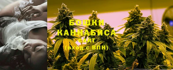 ПСИЛОЦИБИНОВЫЕ ГРИБЫ Медвежьегорск