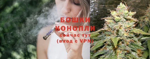 твердый Мегион