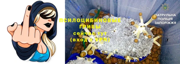 ПСИЛОЦИБИНОВЫЕ ГРИБЫ Медвежьегорск