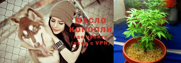 твердый Мегион