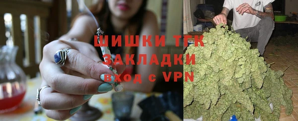 твердый Мегион